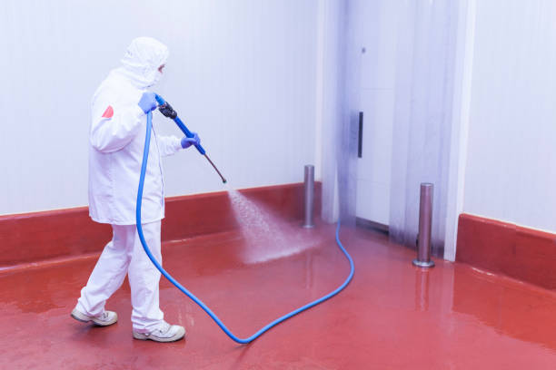 Best House Exterior Washing  in Tower Lakes, IL
